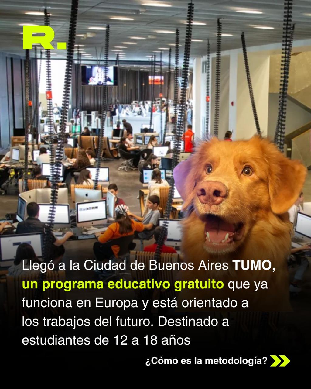 TUMO en Resumen